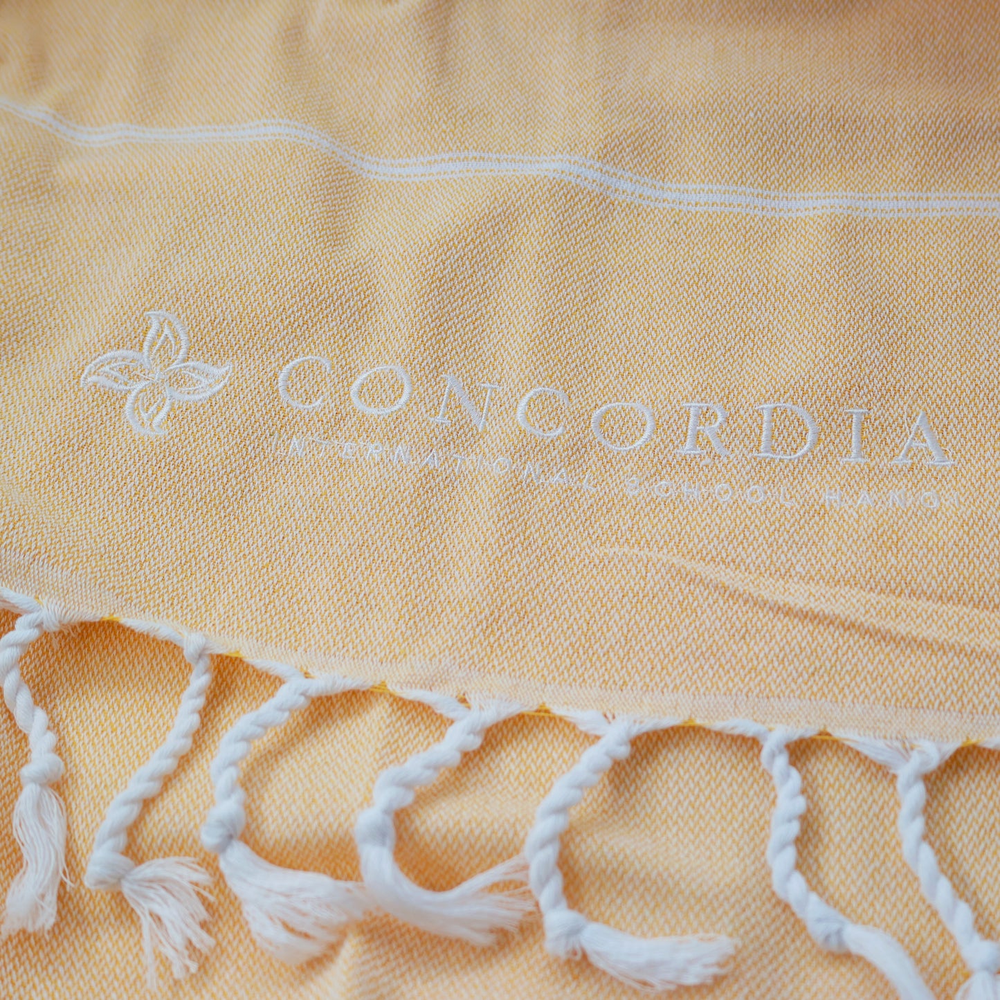 PSO Lightweight Blanket